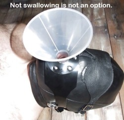 Ich brauche mal wieder eine große Menge "Sekt" von einer arroganten Lady im Raum Hamburg/Lübeck. Ich bin für jedes Angebot und jeden Hinweis dankbar. Filmen und hier posten absolut denkbar. Regelmäßige Abfüllung auch. Not swallowing is not an option. Findest Du nicht auch?  ;-)