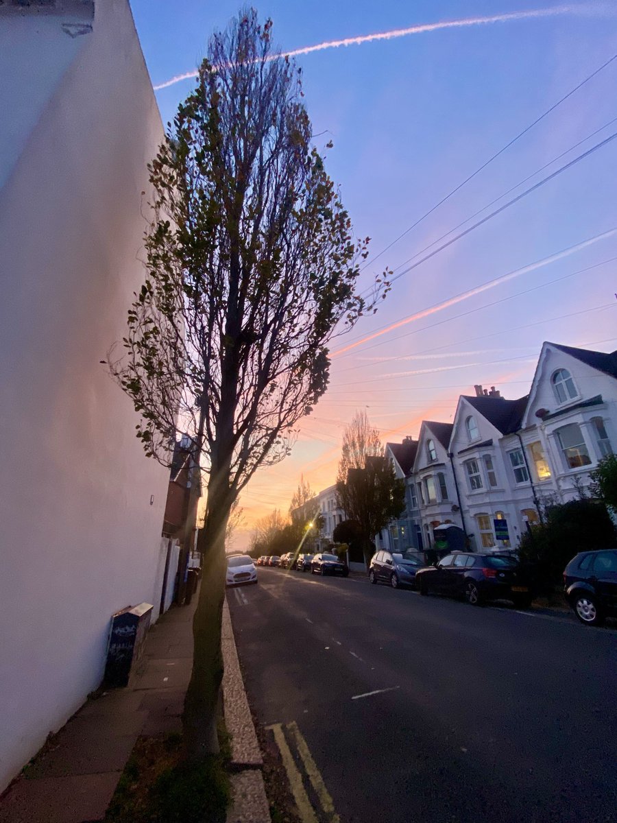 Brighton Beauty tweet media