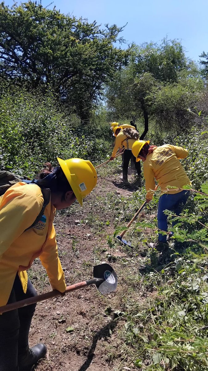 uaemorelos's tweet photo. La prevención es una tarea permanente en la UAEM.
El Centro de Investigación en Biodiversidad y Conservación (CIByC) realizó prácticas de capacitación con sus brigadas antiincendios, con el objetivo de fortalecer la preparación y respuesta ante posibles emergencias.

#UAEM #CIByC https://t.co/WEz16X46mZ