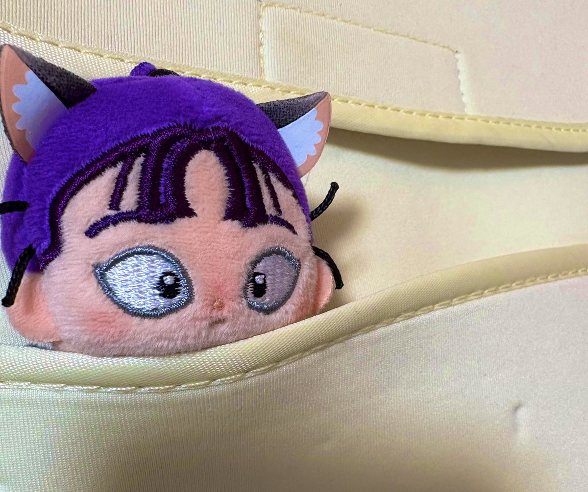 #6-42-2005 やこ様 バスフォーラム鹿児島／鹿児島22き・794