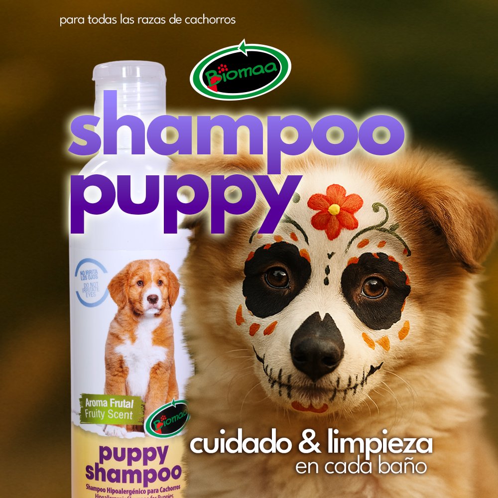 BiomaaStaff's tweet image. Dale a tu cachorro una limpieza profunda suave al tacto con nuestro shampoo puppy para cachorros de todas las razas
#Biomaa #dogcare #cuidadodelcachorro #puppylove #shampooparaperros #DogShampoo

biomaa.online/product-page/s…