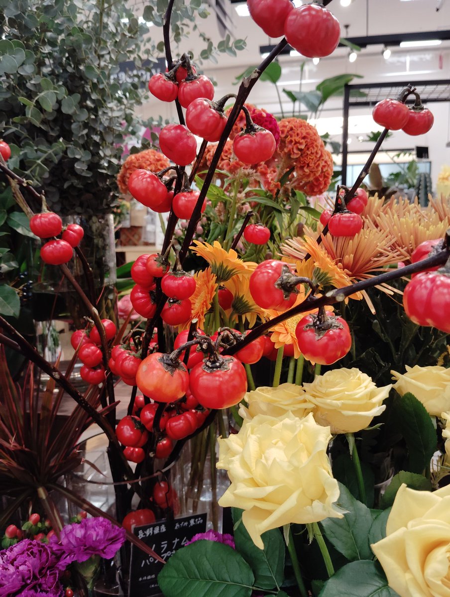 みっき～ママさま ミキハウス 80センチ おまとめ 13枚 おまけつき乃木坂46 賀喜