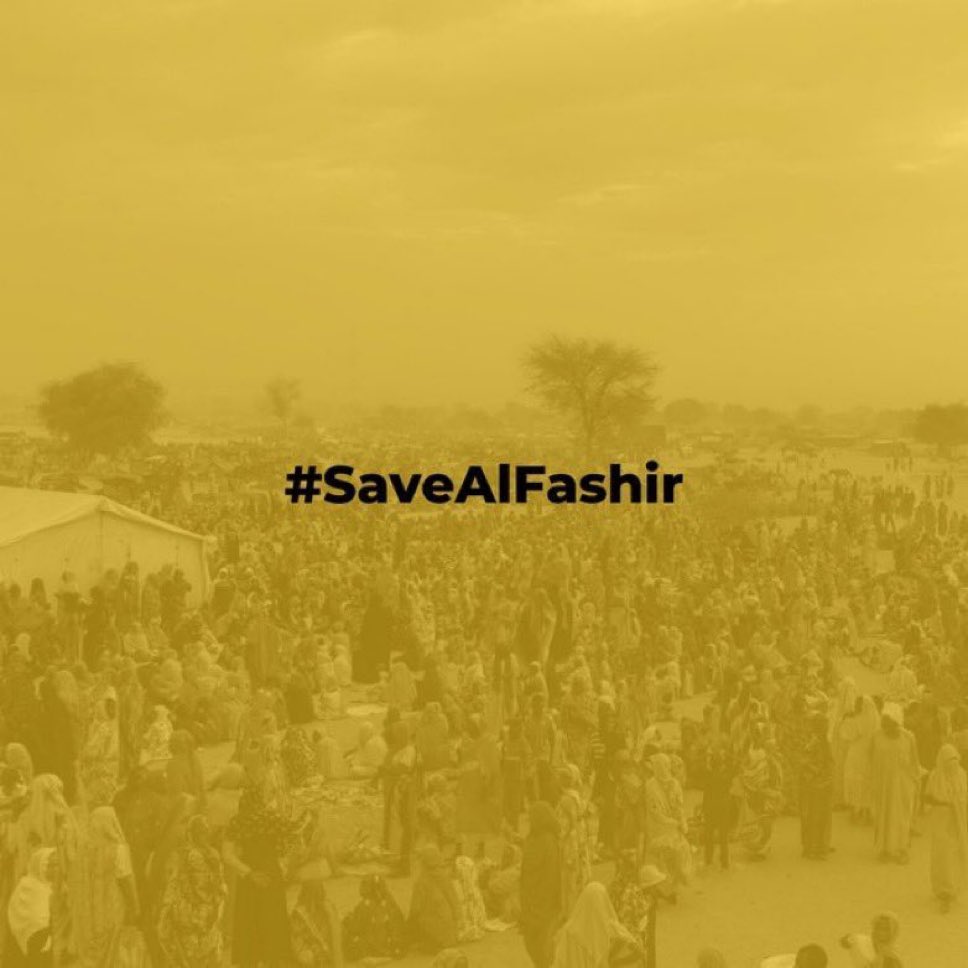 hs99v's tweet image. #savealfashir