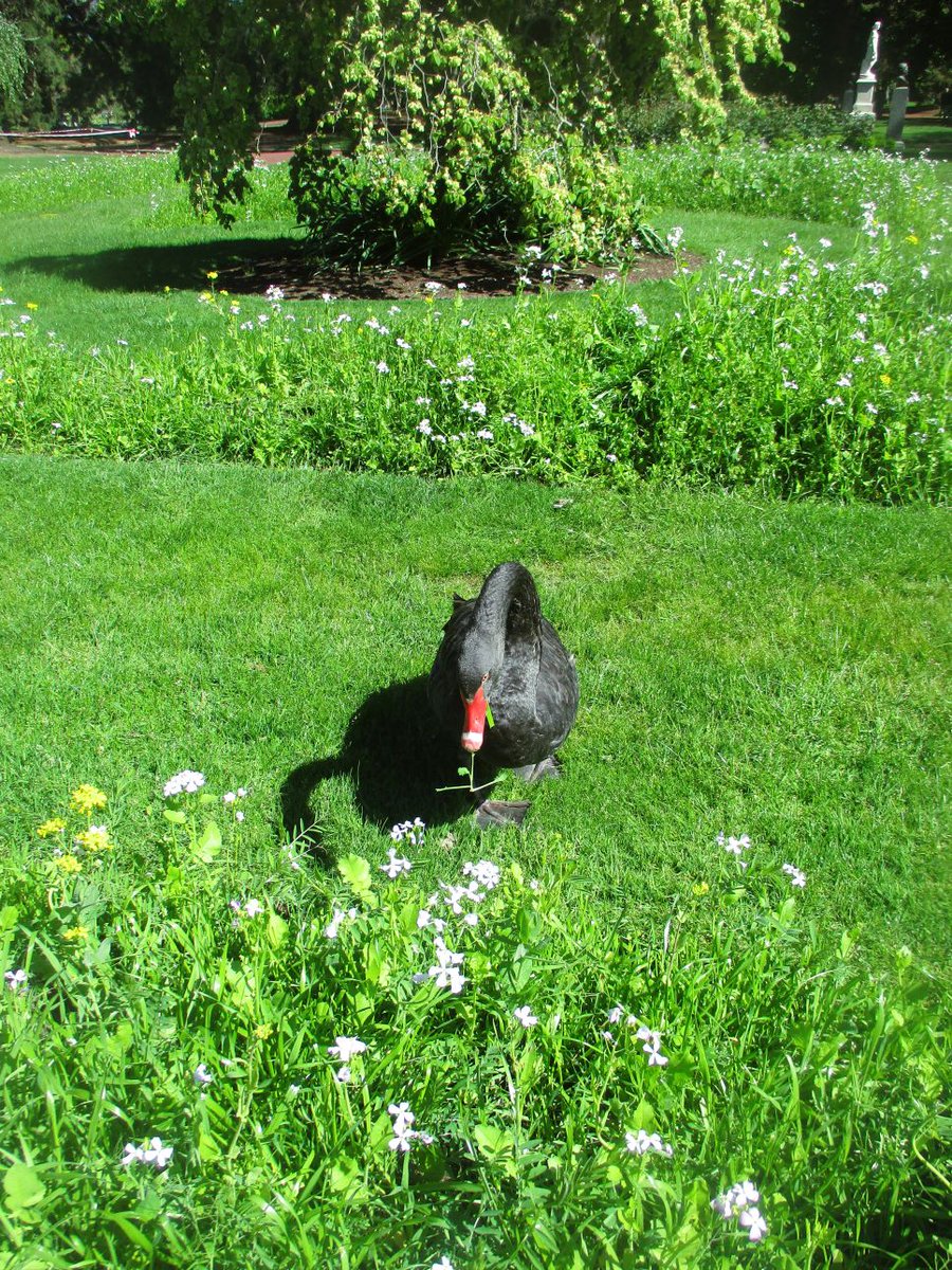 Exploring New Fields🖤