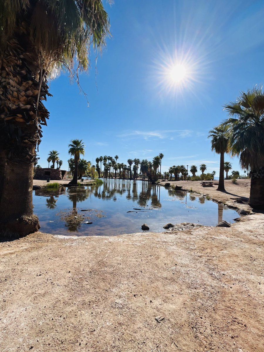 Pearl Aggarwal tweet media