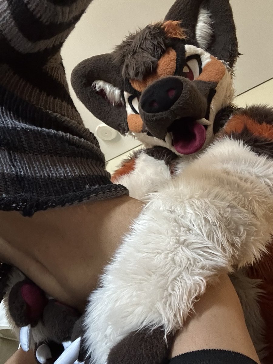 leggybuthorny's tweet photo. Femboy party was.... Interesting for sure :3
With @WinskyAD https://t.co/aRm26LtI3E