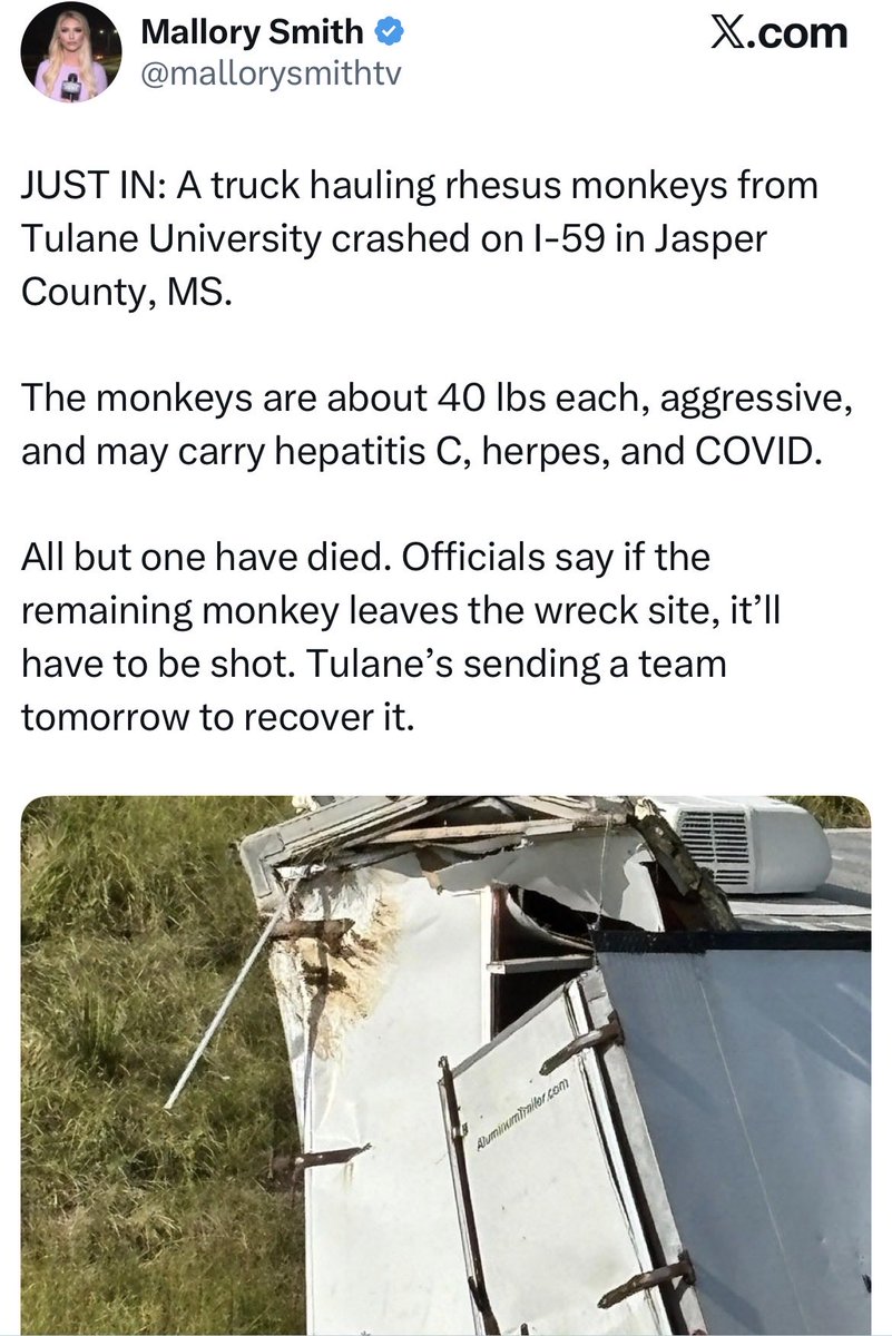 As a species…we deserve whatever the fuck we get. 😣