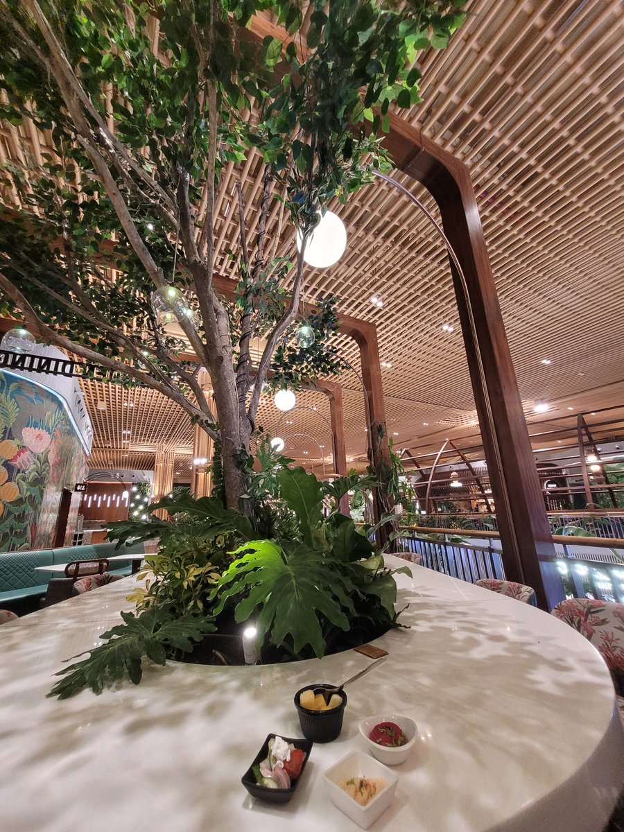 WarangShankar's tweet image. Returning from the #RoadToSub0 India meetups series on a suprise note, thanks to the amazing @airindia executives Musaveer, Arjun &amp;amp; Shebin at @BLRAirport for the class upgrade!

But why I was in BLR if the meetups series already ended at Chennai?
(Hint: 11 done, 2 more to go! 🤔)