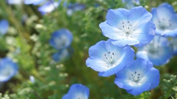 ゆり✩⡱🌸 on X