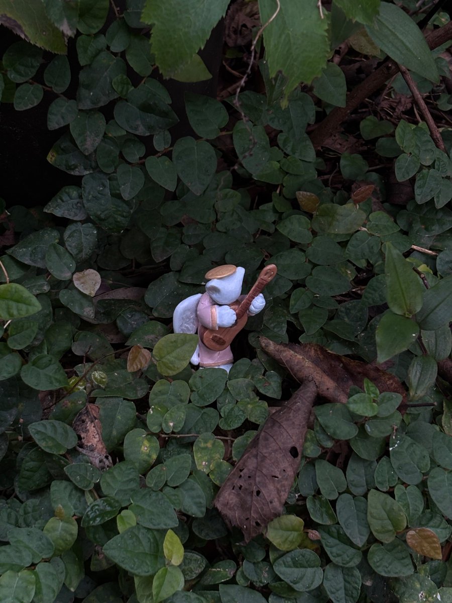 toshoneko (@toshoneko) on Twitter photo 