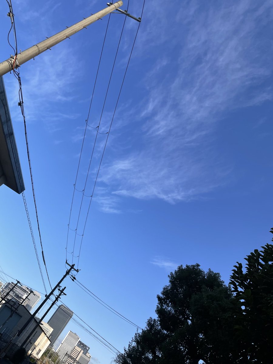 kuneruhomu's tweet photo. おはようございます☀
今日は良い天気になります。
どうぞ宜しくお願いいたします。

#企業公式相互フォロー
#企業公式が朝の挨拶を言い合う
#企業公式が毎朝地元の天気を言い合う
#いまそら #イマソラ #今空 #相互フォロー https://t.co/qjuizmPsCx
