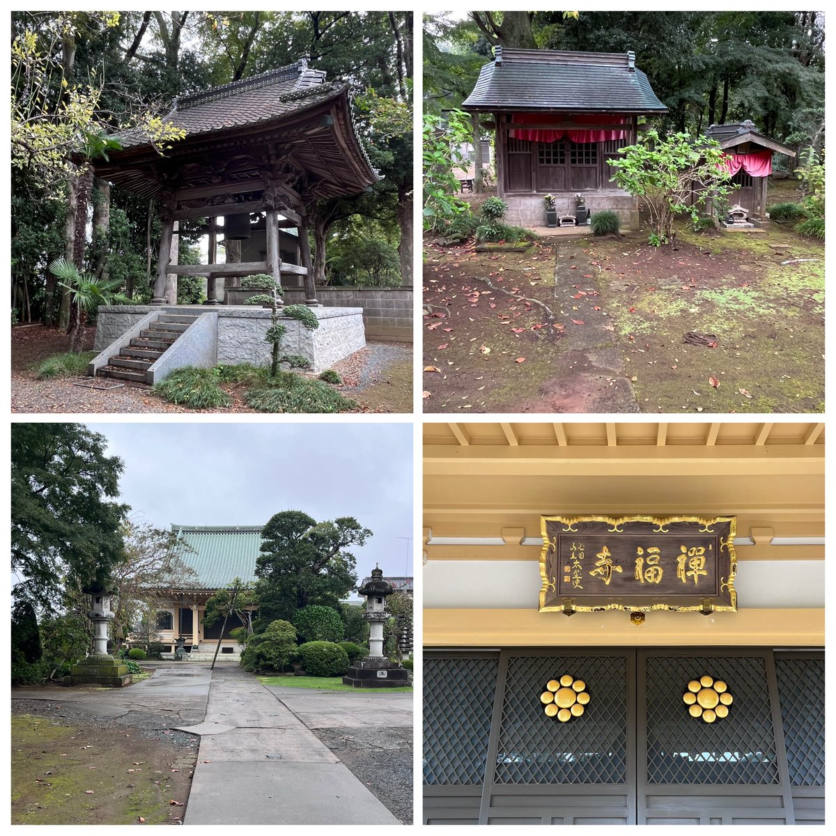 nukutan's tweet image. 25.10.14
#つくばみらい市 筒戸:#普門山禅福寺
創建:承平元年(931)
宗派:臨済宗妙心寺派
本尊:十一面観世音菩薩

創建には平将門が関わっているというが、現地は戦国時代筒戸城となっており、現在の寺は廃城となった天正18年(1590)以降と考える。
御朱印は3年前に拝受したが、代替わりのため再拝受。