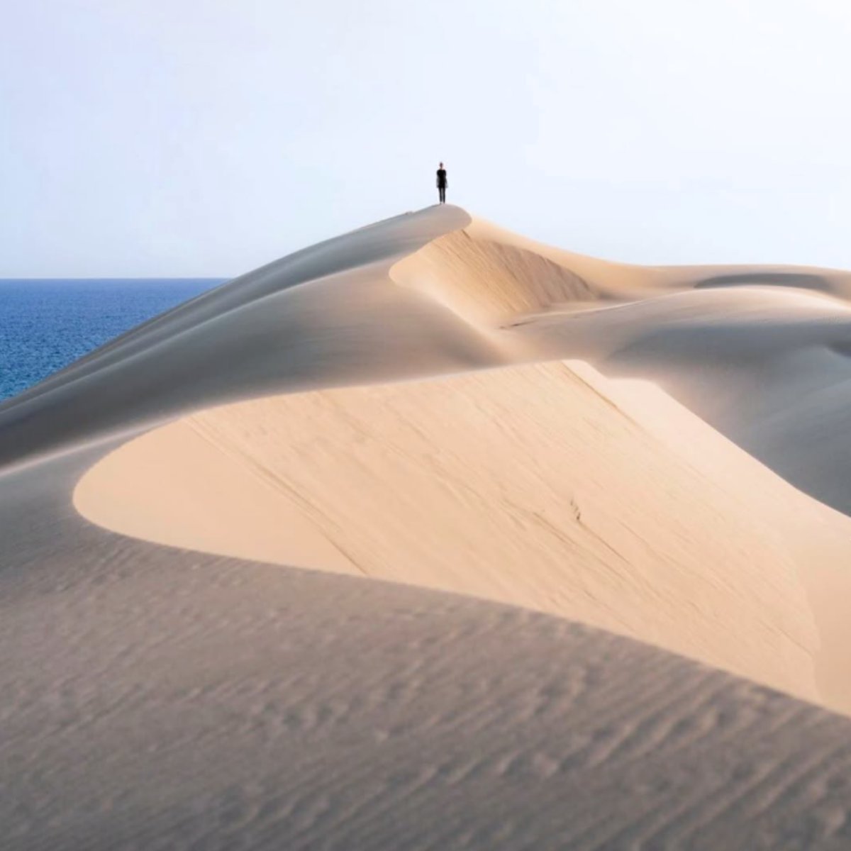 Endless sand, ocean views, and adventure waiting just around the corner. 🏜️🌊

Stockton Sand Dunes are only a short trip from Port Stephens Koala Sanctuary, making them the perfect stop for thrill seekers and photographers alike.

📸: @earth_at_its_origin