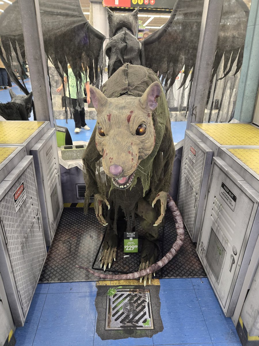 Me: Is the rat problem in NYC really that bad?

The Rat: