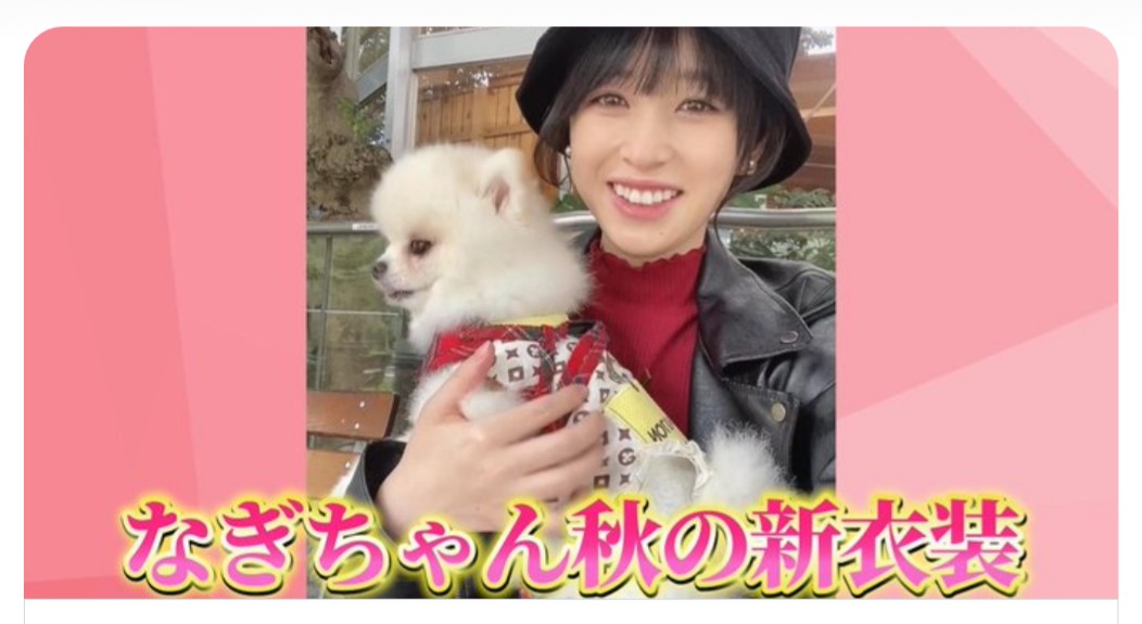 なみへー様* 秘境 西域八年の潜行 上・中・下 まとめて3冊セット 中公文庫 』