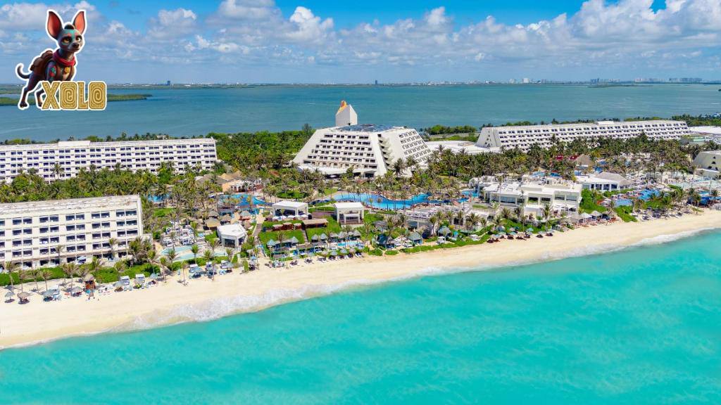 The Pyramid Holds the Pilgrimage 🔺🏨
With over 1,000 rooms and space for 3,000+ guests, Grand Oasis Cancún is no hotel—it’s a temple of gathering.
Xolo walks among dreamers, creators, and tribes ready to rise.
🌐 xrpxolo.xyz
💬 t.me/+ITb9nY93ArE5N…