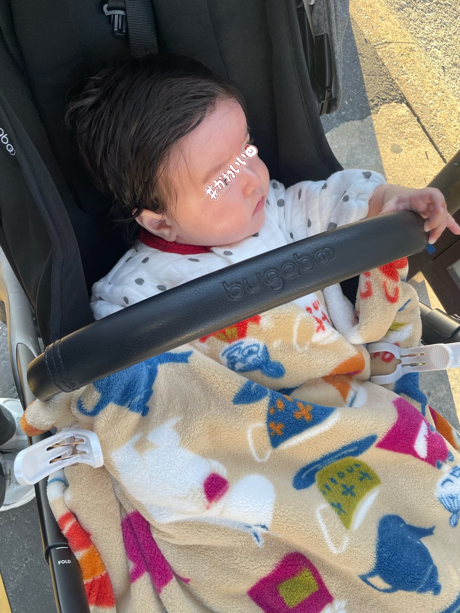 キャプテンきちまる on X