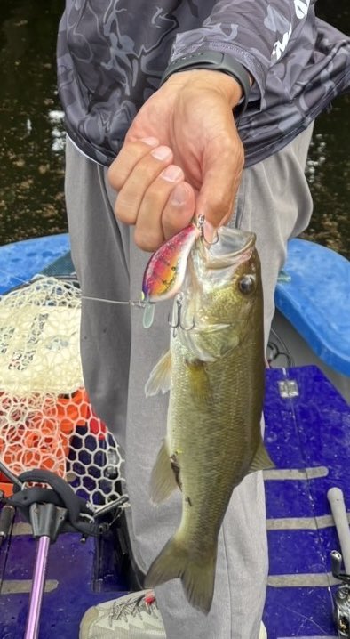 ⚫︎misuzu⚫︎ Sara Embellished Maxi Dress | GUESS