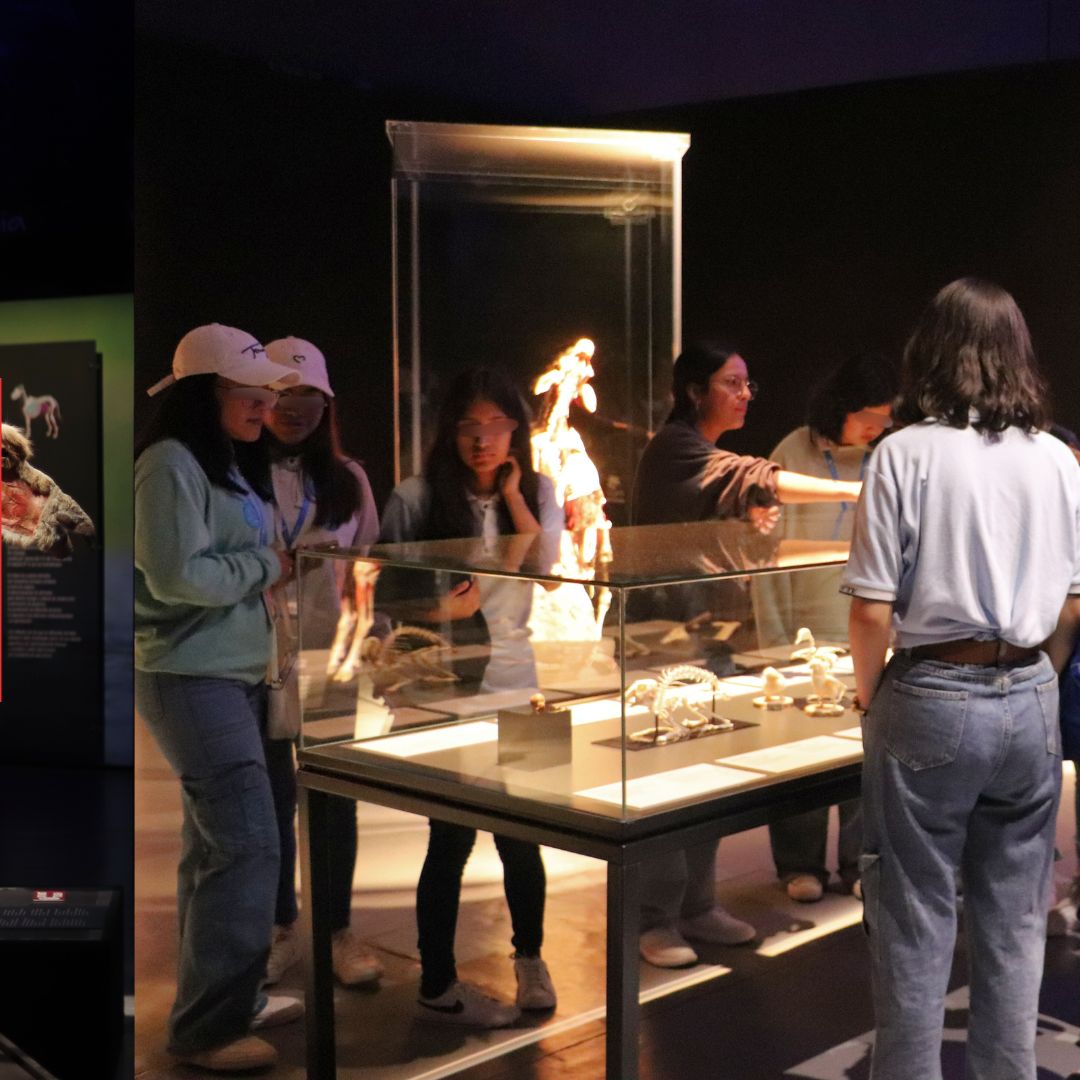 ExploraLeon's tweet image. Más de 100 especímenes reales preservados con la revolucionaria técnica de plastinación, revelan los secretos del movimiento, la fuerza y la vida misma.
 Más información  explora.edu.mx/evento/detalle…

 #BodyWorldsExplora
#AnimalInsideOutExplora
#SafariDeCienciasExplora