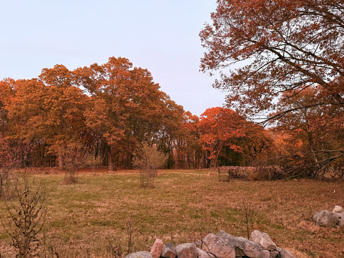 heartwarming: socal wah experiences new england fall colors for the first time