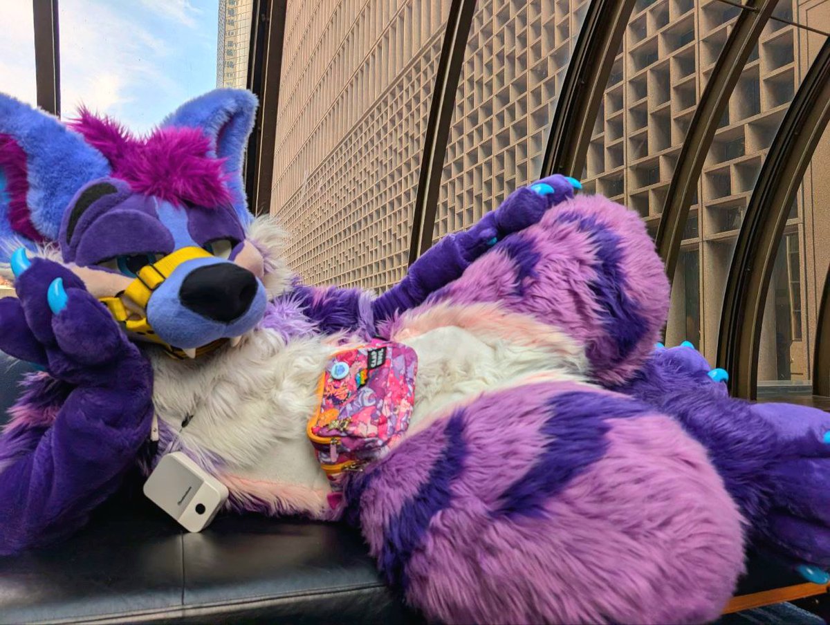 Muzzled :(
📸:<a href="/Pyrferno/">.exPYRe.. // 💜 _/ 🌄 / STRATOSFUR2026</a>