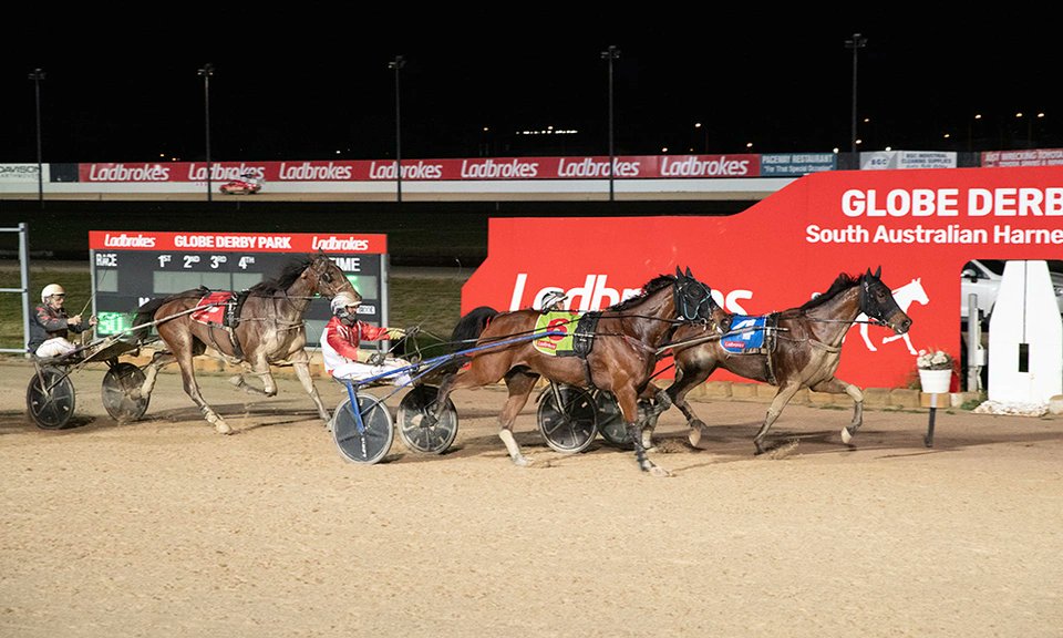 Harness Racing SA tweet media