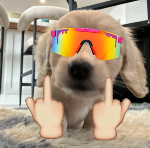 So many fake tech launches...

Just send $BOB

It has no tech

2q1sjsVVPx8TUvzqzXpHPnoN3xroHt7EHusXzbTtpump