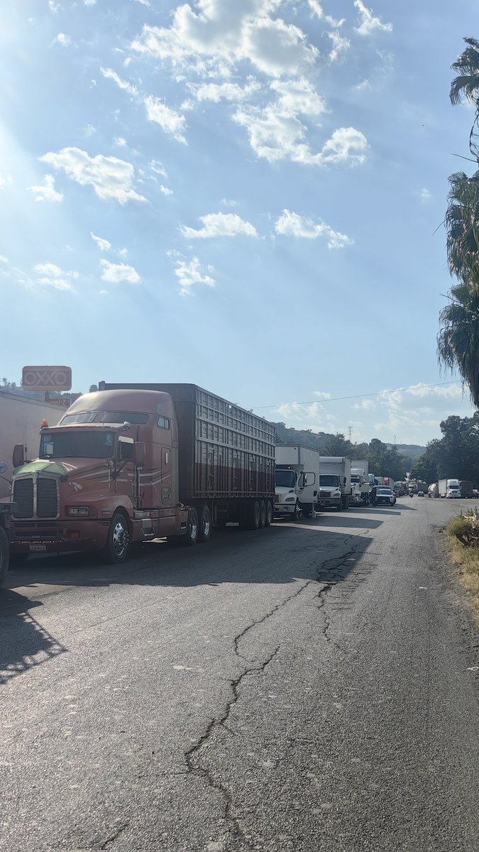 TrevPhIndust's tweet image. Desde ayer atorado por los bloqueos..
#urge les den solución a #campesinos #agricultores @Claudiashein @GobiernoMX
#Bloqueo #jalisco #michoacan