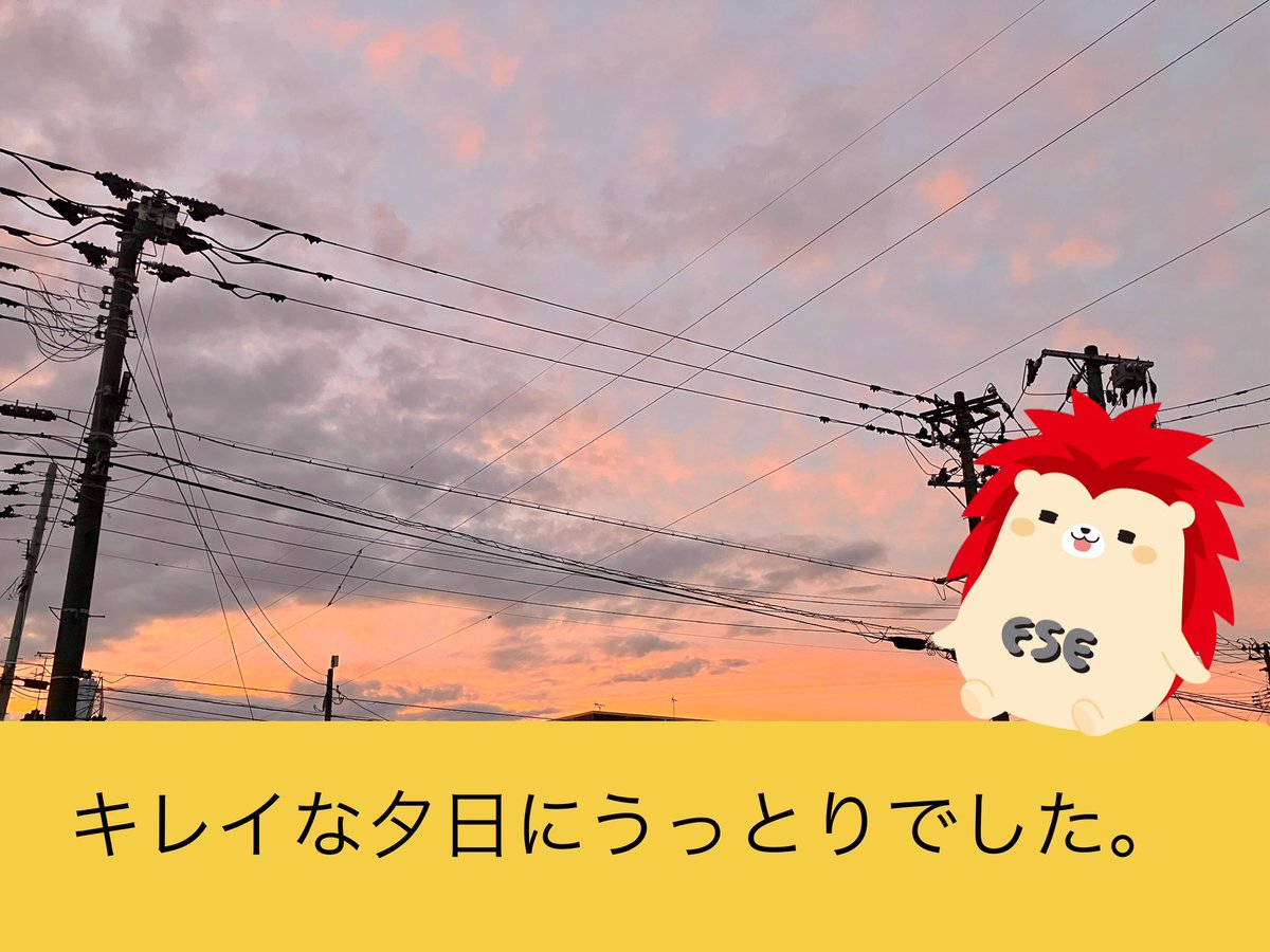 FSengineering_0's tweet image. おはようございます☀️
今日の　#長岡市　は曇り☁️

そろそろ日本海は
冬型な薄暗い季節になってきます🥲
日照時間が少ないんですよね💦

なのですが先日
キレイな夕日が見えて、うっとり。
ハリィも一緒に、うっとり。
でした!!

#企業公式相互フォロー
#イマソラ
#夕日
#樹脂加工
 #うっとり