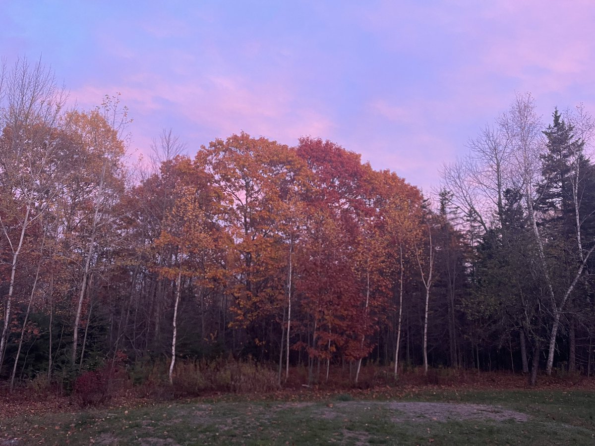 jonbyrer tweet media