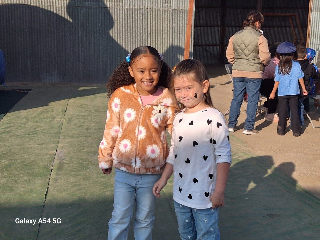 ButtonwillowUSD tweet media