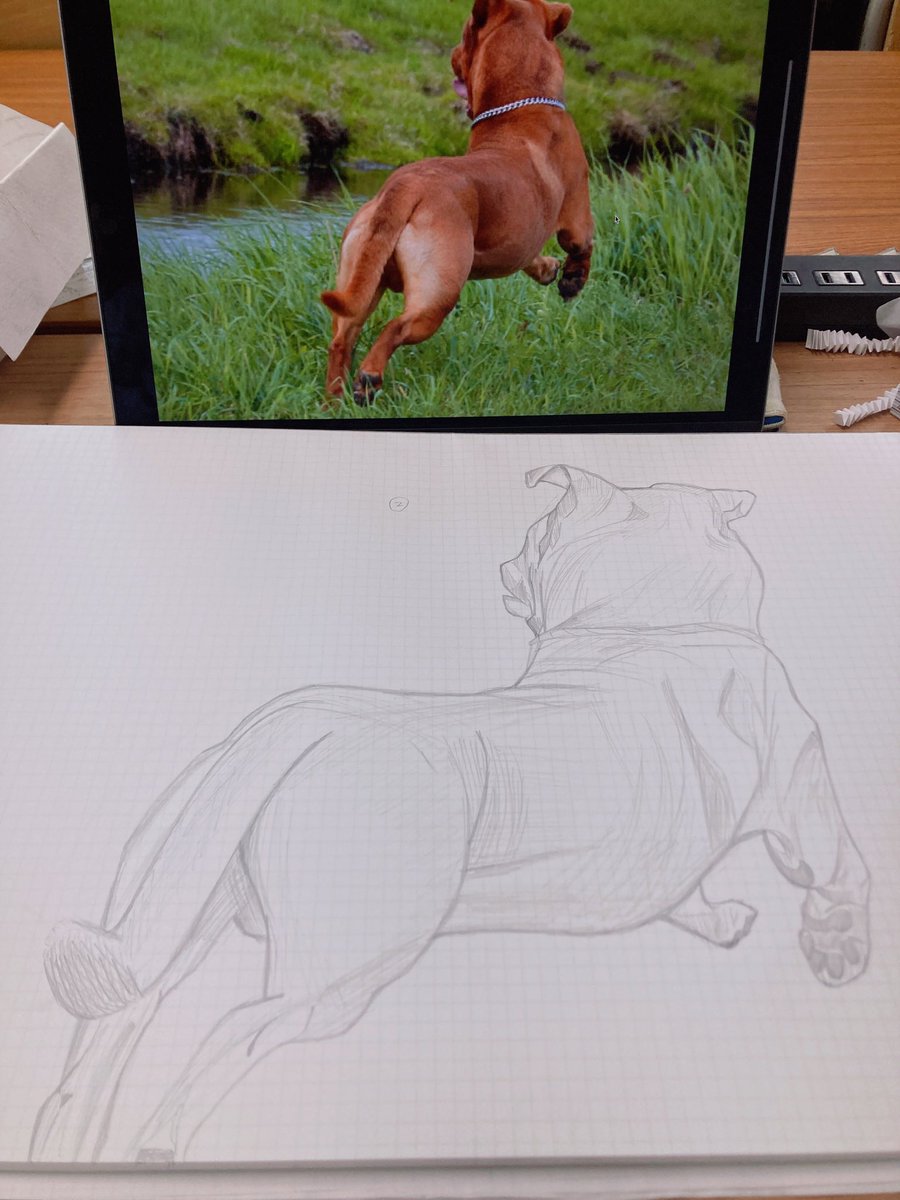 N1b0s1_'s tweet image. 昨日の描画演習は犬か猫描けってやつで猫飼ってる人は犬描いた方がいいって言ってたから犬描いてた
○○さん、柴犬いいねって言われて
嬉しすぎた 猫描いてないけど猫は描きたくないむずい
#素描 #描画 #イラスト #犬