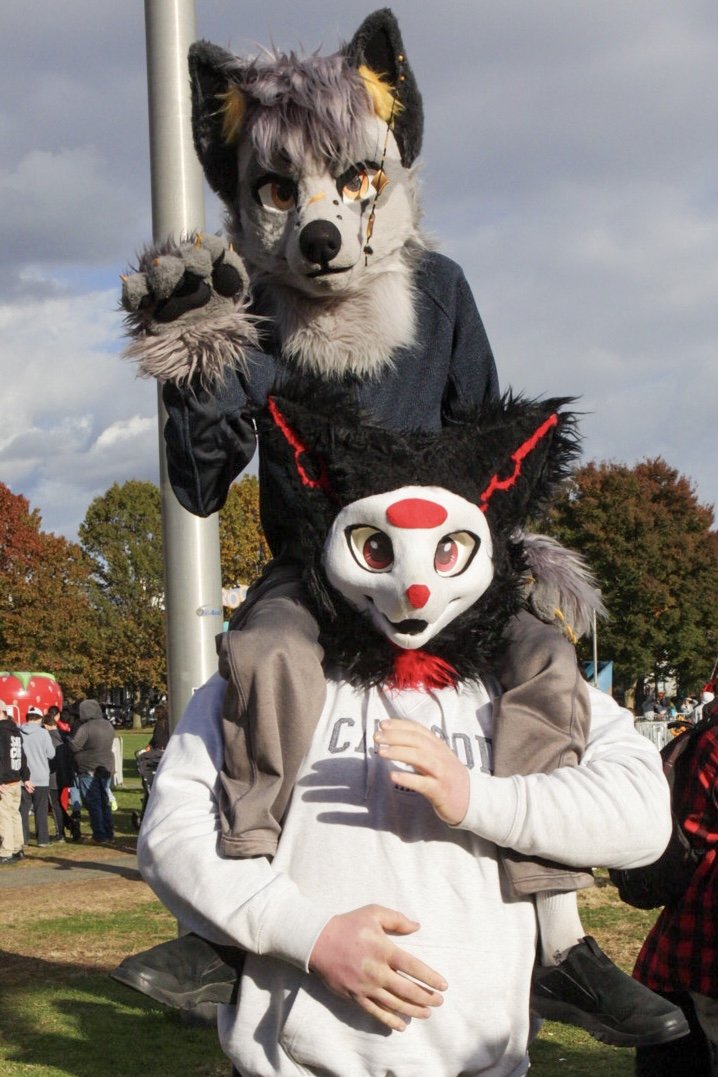 shadowmoonray's tweet image. #furry in Salem Furmeet 2025