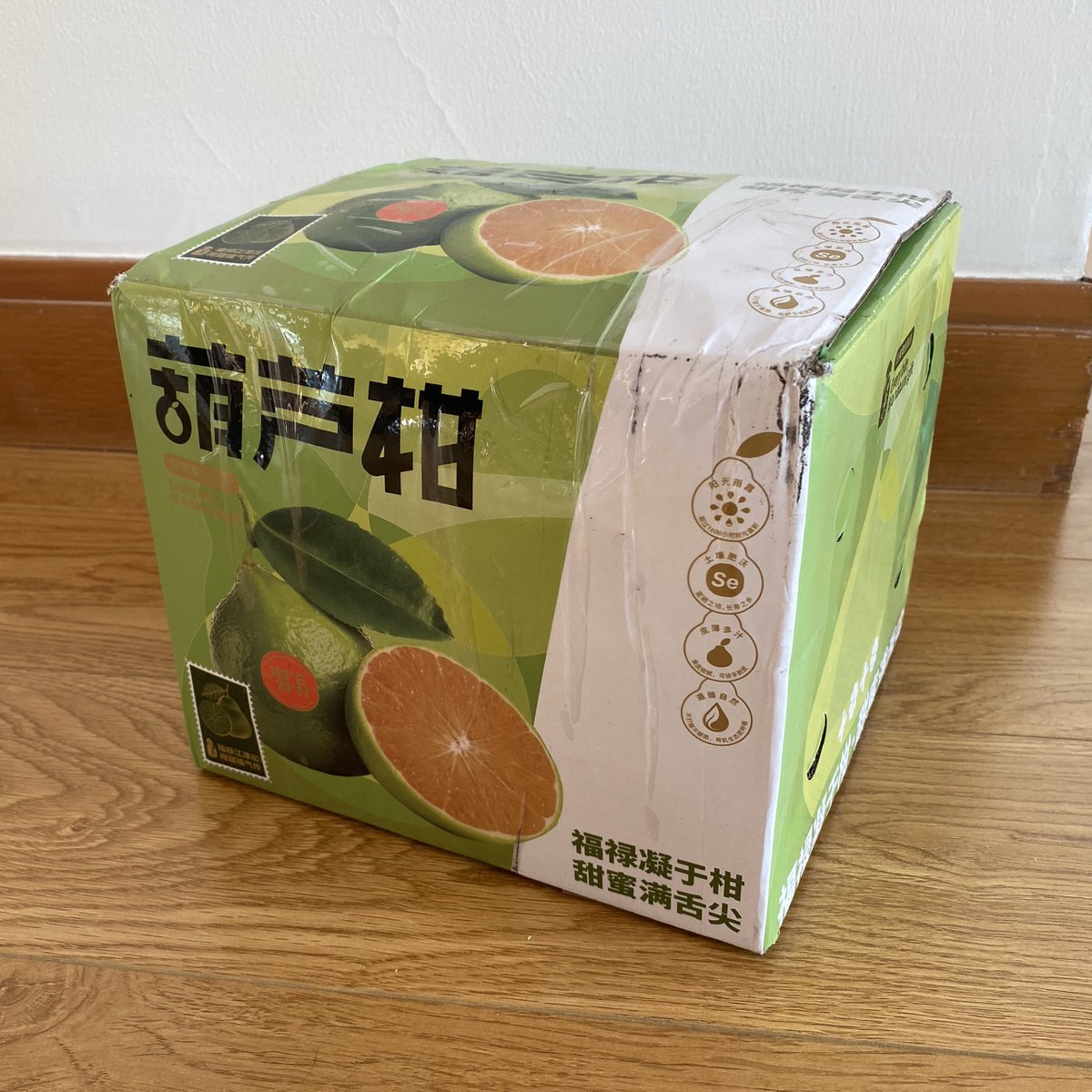 りんごミカン様*°♡ りんごミカン様*°♡ みかん様 ミカン様 ミカン様 蜜柑様