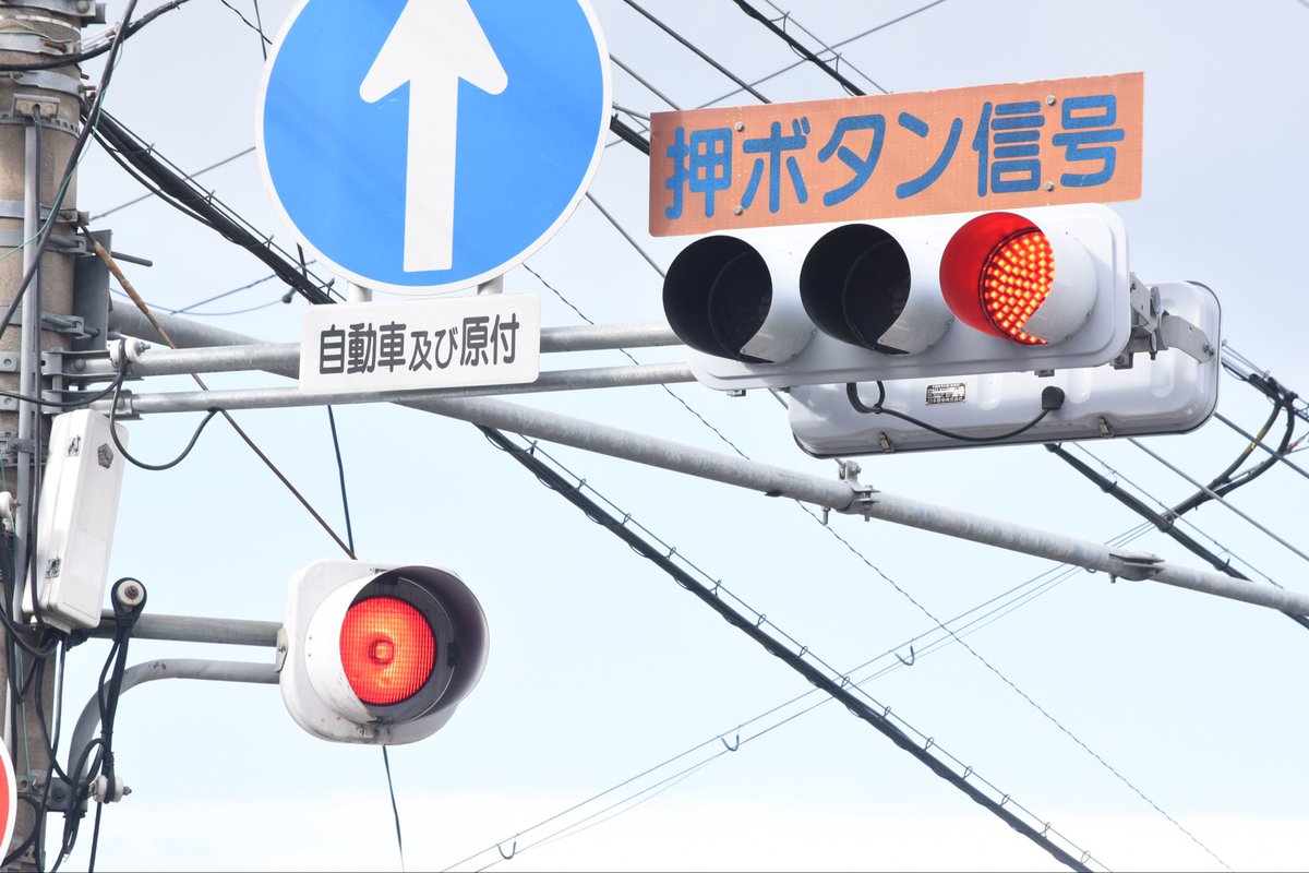 太陽の赤点 Amazon | ジェックス EXO TERRA (エキゾテラ) ヒートグロー 赤外線照射