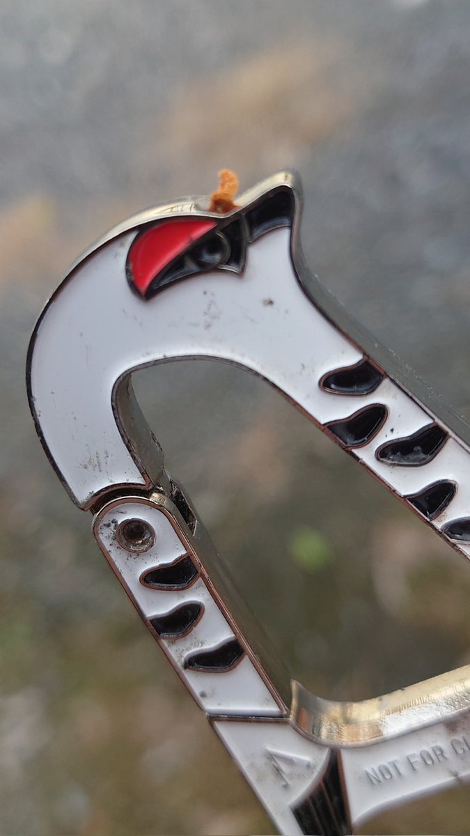 その他 CORDVIPER DEATH TRACKER その他 CORDVIPER DEATH TRACKER Ferrari overdose this weekend