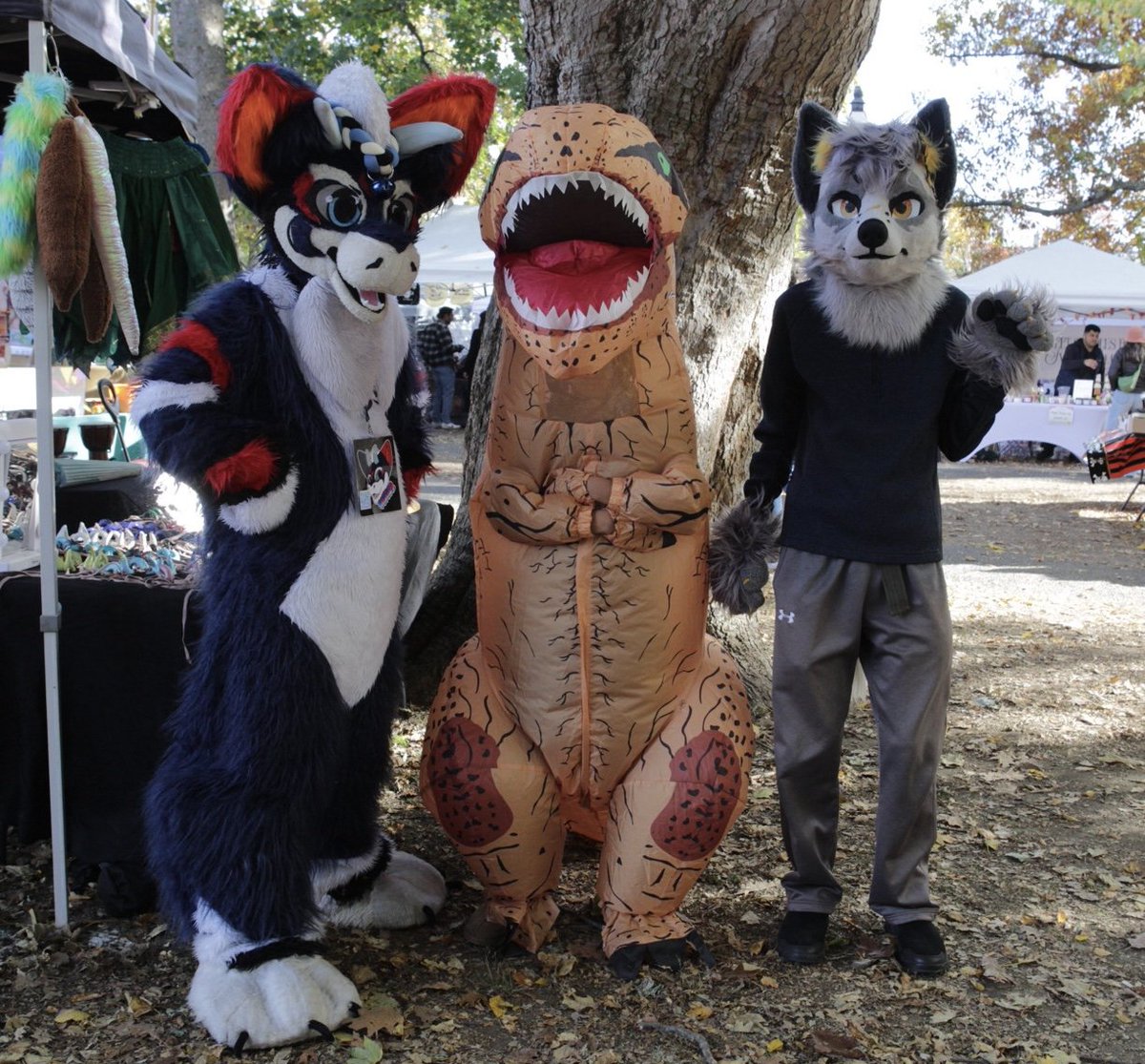 shadowmoonray's tweet image. #furry Salem MA October Furmeet