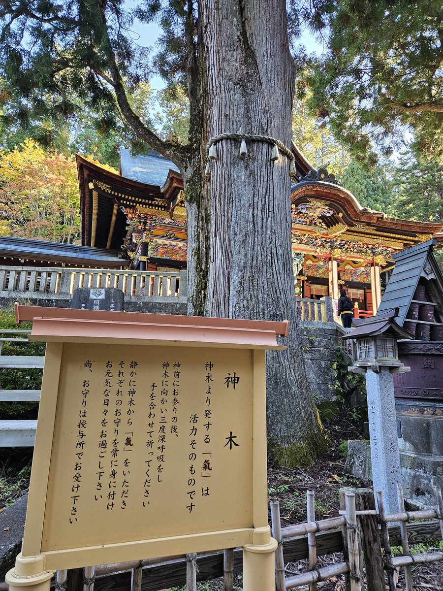 あちmämä ページ AMBIDEX Store ○16/1ワッフル 襟フリルプルオーバー(F コン