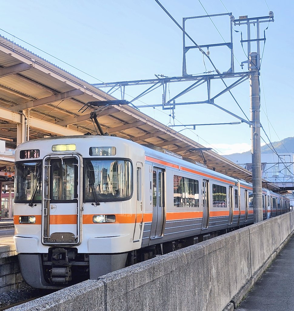 クマのたんのう 熊の胆嚢