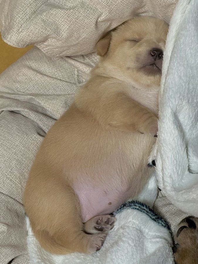 iti malias (@itimaliasof) on Twitter photo 