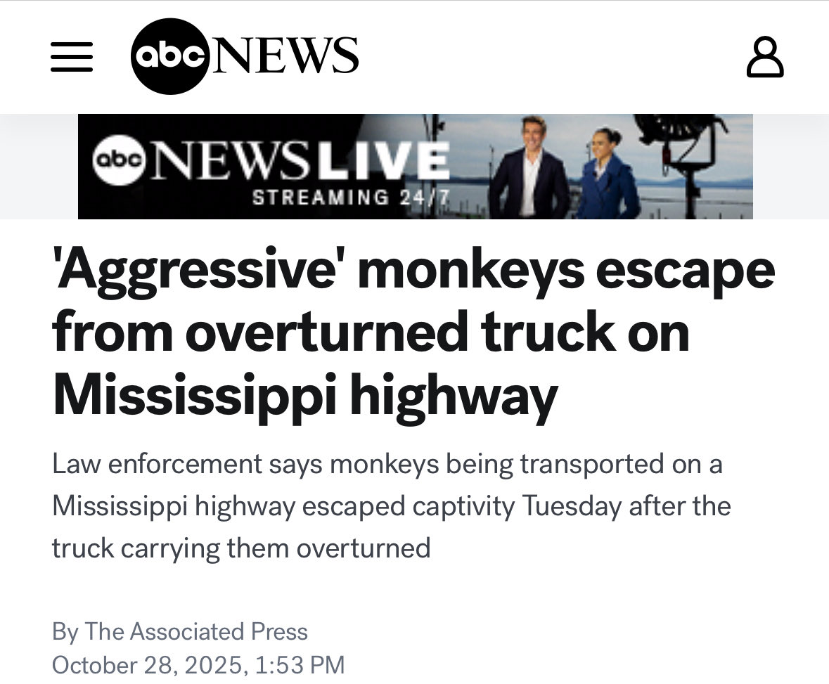 After being experimented on in our laboratories, I wonder why they’re aggressive toward humans.