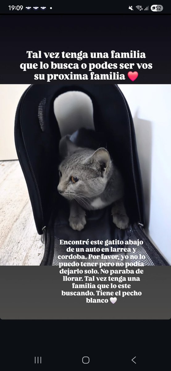 Por favor! Encontré a este bb que seguro tiene familia! Me ayudan con RT?