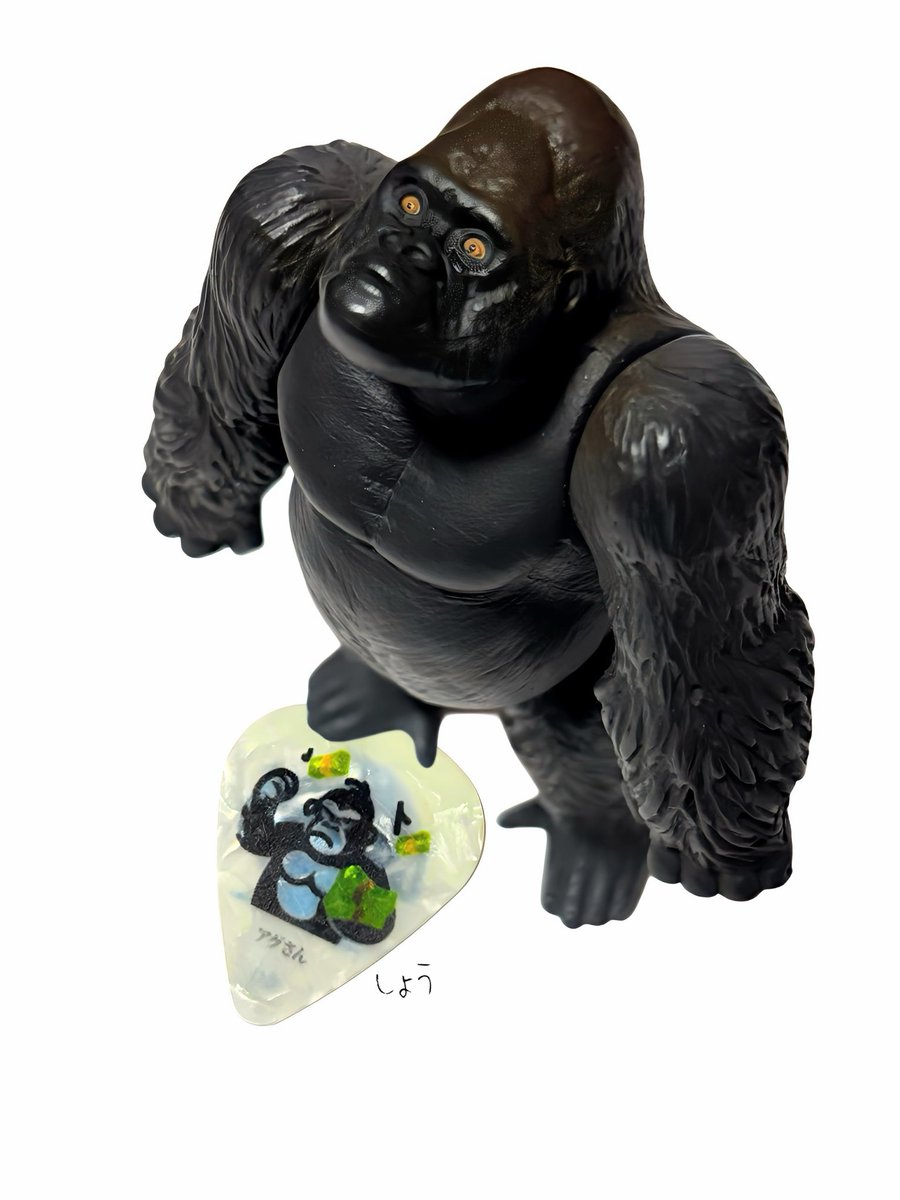 🌺🌼しょう🌼🌺~ꕤ~ଯ~ꕤ~ on X