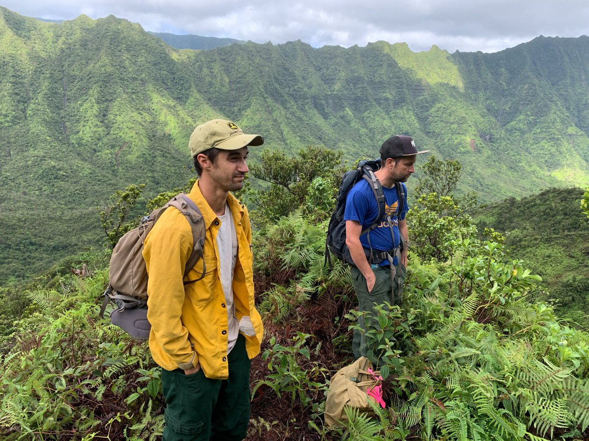 National Tropical Botanical Garden tweet media