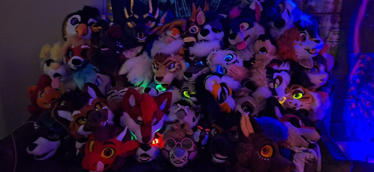 EdencitoHz's tweet image. Gracias #Confuror
La mejor de mi vida so far…
Con la mejor compañía del mundo 💙💚🐬
#PCD