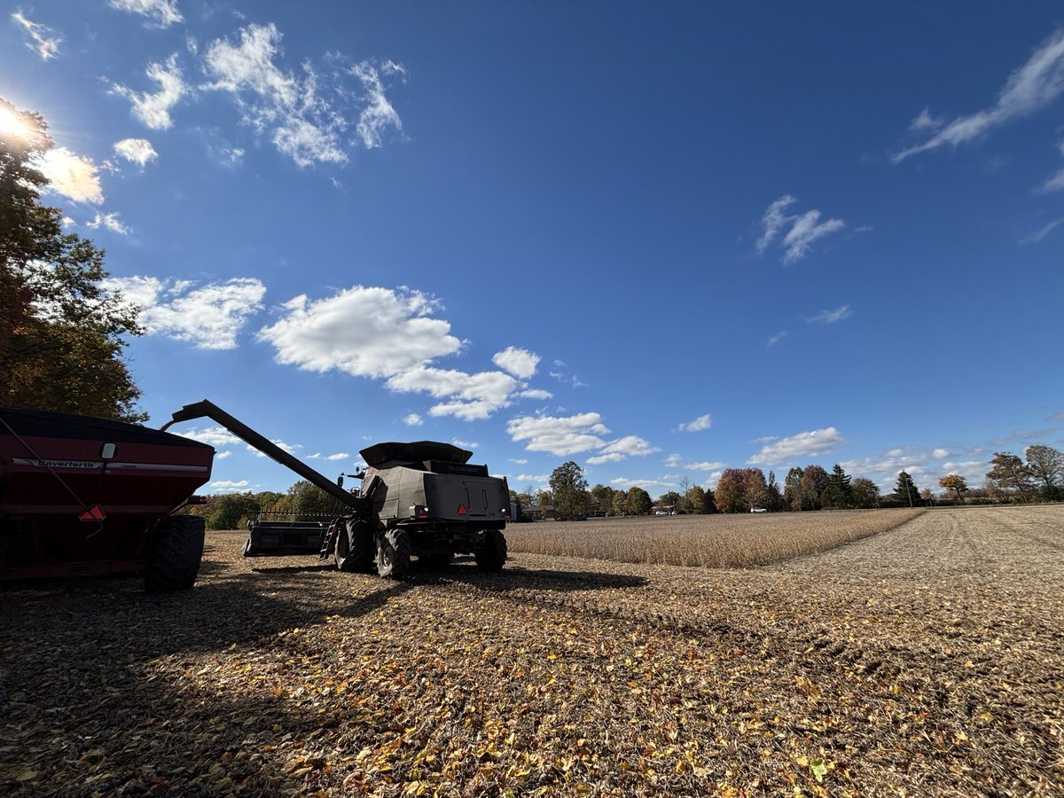 Last of the bean plots off just in time for the rain! Gotta say I’m super impressed with some of the yields we are seeing in spite of the growing season 🫘 #ontag