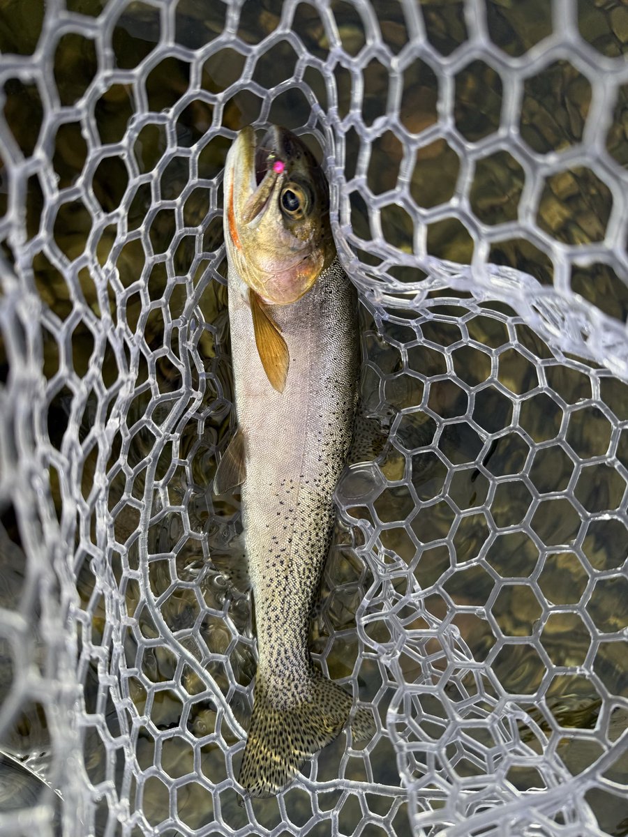 Got up at 1am to take our H2B staff to the airport, got back home at 5 and slept until 9am. Thought I’d hit my last few hours on the river for the year.