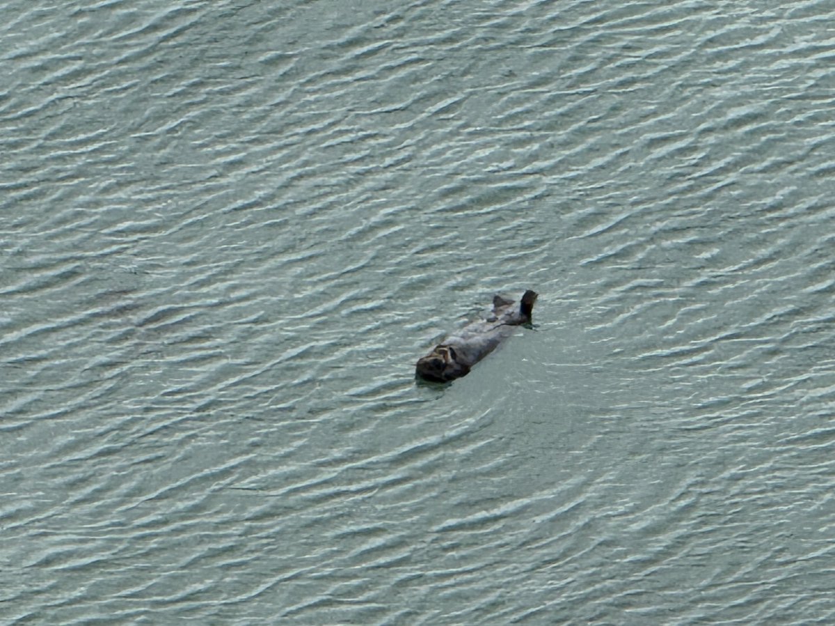 Enjoy_life_north (@EnjoyNorth) / Posts / X