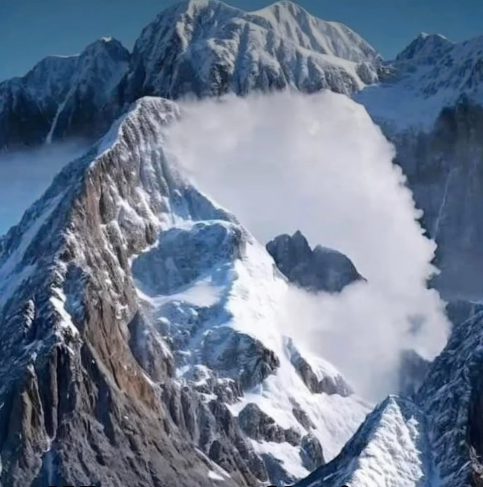 AlphaFox tweet media