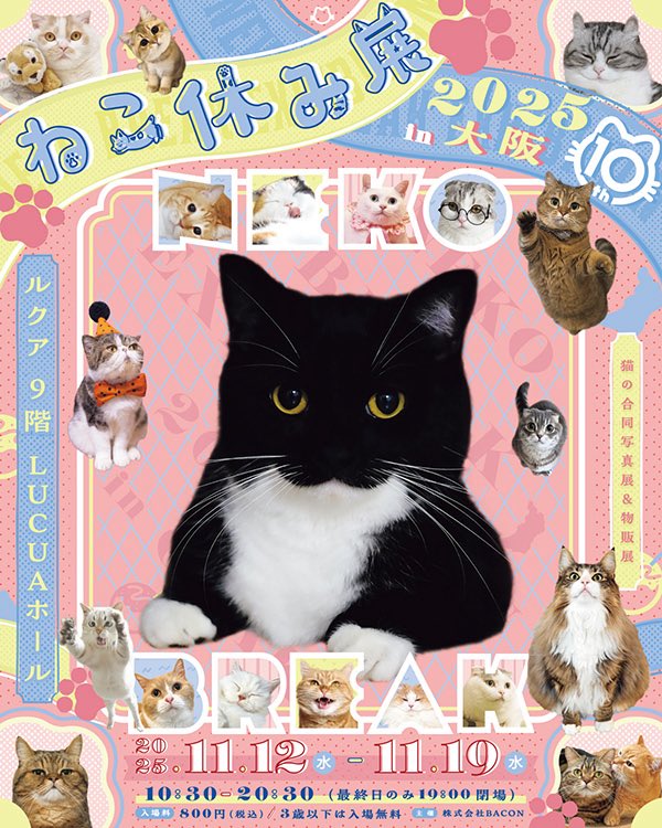 n_e_m_u_n_o_k_i's tweet image. #ねこ休み展 2025 in 大阪
会期：2025年11月12日(水)～11月19日(水)
　　　10:30～20:30
会場：ルクア大阪

11月のねこ休み展は大阪での開催です！
色々とねこグッズ再入荷してますよ〜
Via Carouselさんとのコラボグッズ含め、楽しいラインナップでお届けできそうです…